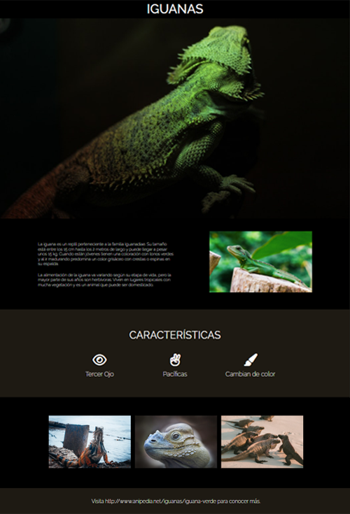 screenshot de landing page de iguanas